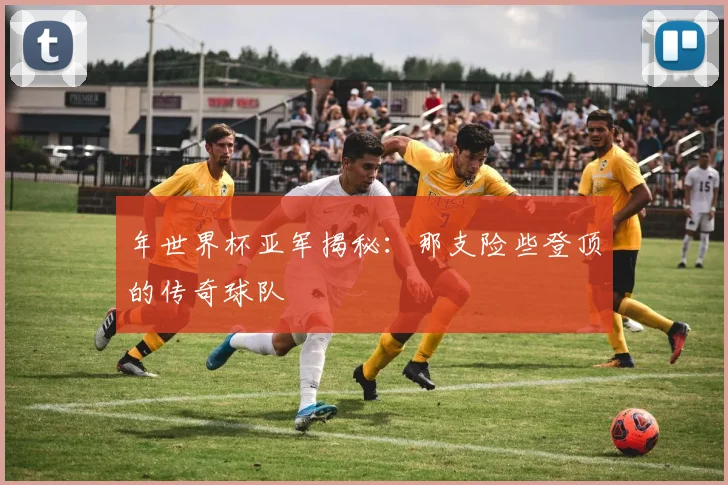 年世界杯亚军揭秘:那支险些登顶的传奇球队
