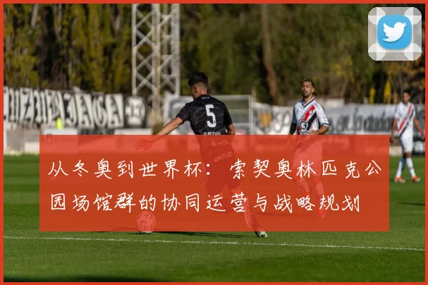 从冬奥到世界杯：索契奥林匹克公园场馆群的协同运营与战略规划
